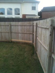 bleached fence